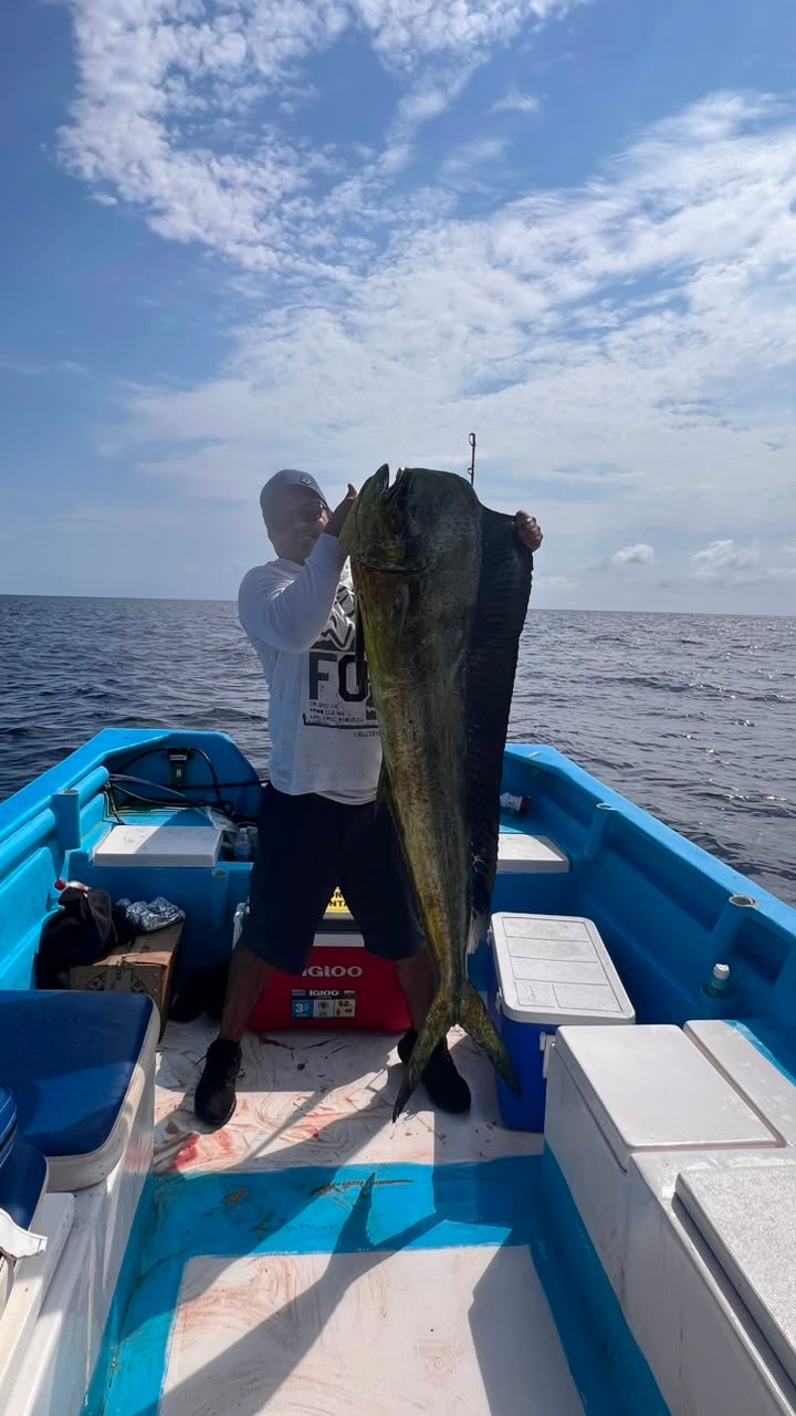 Pesca deportiva — Dorado y la pelea en aguas del Cortés.
